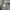 Maison Kitsuné Streetwear Sportswear Varsity jacket Pria cream photo 7