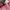 PANCOAT RABBIT PINK
