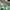 nike air jordan 1 mid green photo 6