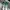 nike air jordan 1 mid green photo 1