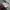 Crewneck Stussy bordir photo 5