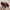 Adidas Casual Sneakers Pria red photo 5
