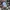 Kansai Jeans Flannel Shirt photo 7