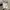 White Cropped Short Sleeve photo 1