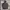 OUTDOOR JACKET by THE NORTH FACE MP3 photo 2