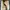 Timberland Casual Boots Pria khaki photo 6
