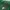 Converse sweatpants chevron logo green photo 3