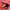 Converse sweatpants wordmarks salmon pink photo 3