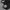 SUPER BAGGY BLACK LIST WHITE RAW DENIM photo 6