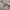 DICKIES DOUBLE POCKET WORK JACKET CARABINER KHAKIS photo 2