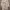 TRENCH COAT TEBAL CREAM  photo 1