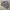 DICKIES WORK JACKET DETROIT PURPLE-ISH GREY  photo 2
