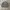 DICKIES WORK JACKET DETROIT PURPLE-ISH GREY  photo 1