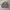 DICKIES WORK JACKET DETROIT PURPLE-ISH GREY 