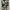 Rotcho BDU Camouflage Trousers photo 6