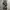 Rotcho BDU Camouflage Trousers