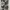 Rotcho BDU Camouflage Trousers photo 3