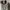 Topten cotton oxsford oversize long shirt photo 3