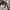 Topten cotton oxsford oversize long shirt photo 6