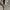 Topten cotton oxsford oversize long shirt photo 5