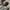Topten cotton oxsford oversize long shirt photo 4