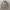 Topten cotton oxsford oversize long shirt photo 1