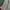 Zipper  crop photo 4