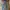Spao Streetwear Y2K Jeans Pria Blue