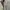 Uniqlo cotton oxsford long shirt photo 5