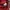Dickies Casual Casual shirt Pria burgundy photo 5