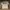 GRUNGE BUCKAROO LONG SLEEVE WHITE NOT AFFLICTION TAPOUT XZAV
