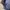 Uniqlo navy cotton oxsford long shirt photo 5