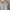 Nike Streetwear Sweater Pria gray photo 2