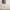 Natural Story Sage Linen Textured Long Shirt