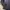 Polo Ralph Lauren navy cotton oxsford long shirt photo 6