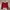 H&M Minimalist Casual Crop Top Wanita Red
