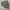 DICKIES CANVAS WORK JACKET CONTRAST STITCH OLIVE GREEN photo 2