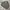 DICKIES CANVAS WORK JACKET CONTRAST STITCH OLIVE GREEN