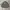 DICKIES CANVAS WORK JACKET CONTRAST STITCH OLIVE GREEN photo 1