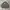 DICKIES CANVAS WORK JACKET CONTRAST STITCH OLIVE GREEN