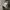 DICKIES CANVAS WORK JACKET CONTRAST STITCH OLIVE GREEN photo 5