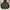 Y2K ANORAK CAGOULE JAKET FOREVER 21 CAMO photo 2