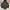 Y2K ANORAK CAGOULE JAKET FOREVER 21 CAMO photo 1