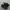 nike af1 black photo 1