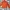 North Face Jacket Mens Lightweight Packable Thermoball photo 1