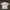 poli shirt nautica vintage photo 1