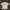 Poli Shirt Nautica Vintage