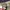 CARGO PANTS BAGGY CAMO - CHANGE 2118 photo 2