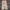 CARGO PANTS BAGGY CAMO - CHANGE 2118 photo 3