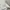 NIKE HONDURAS LOGO BORDIR SINGLE STITCH photo 4